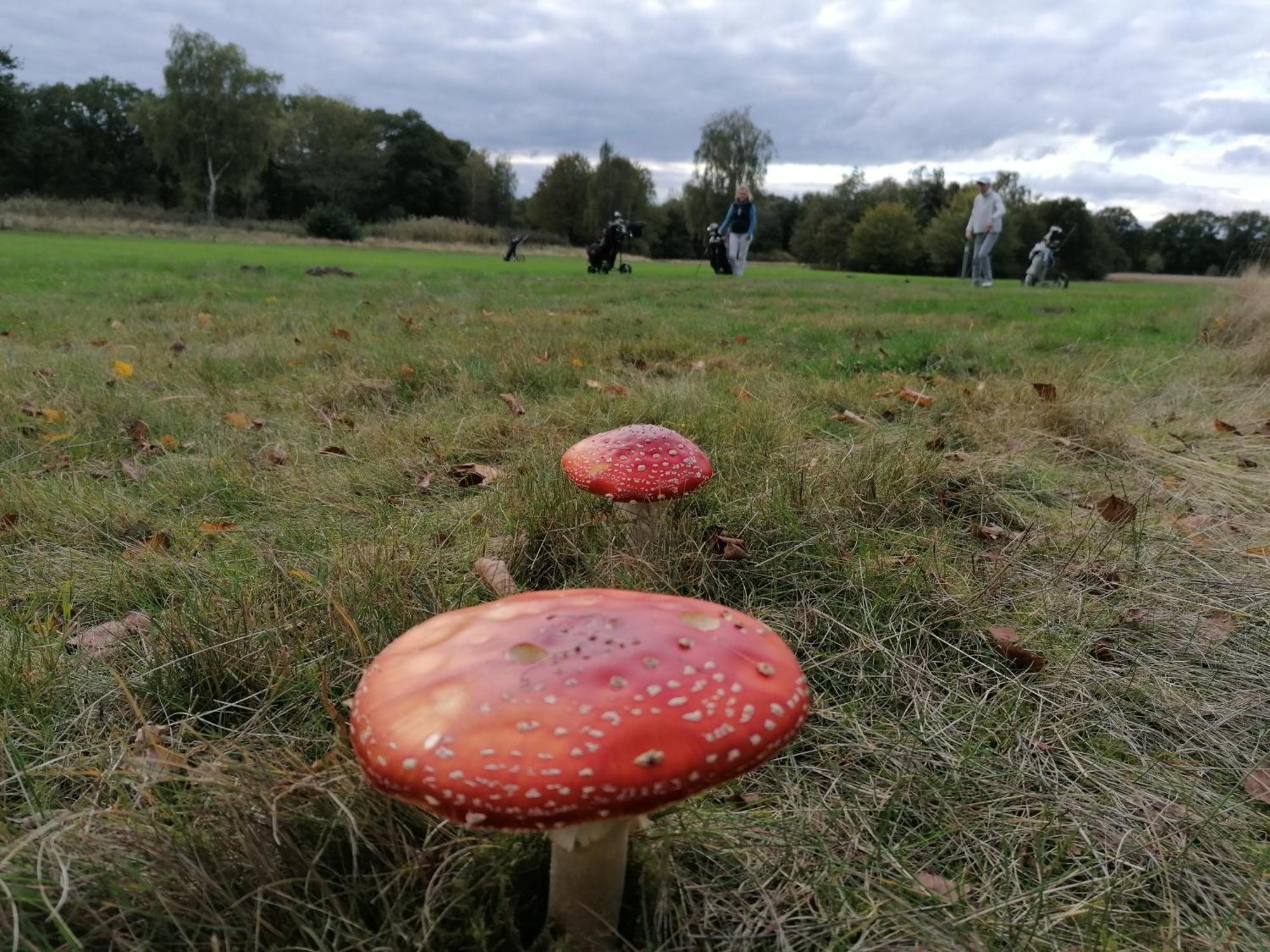Natureview Hamburk Exteriér fotografie